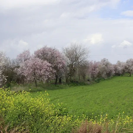 Marmaras Gasthof Lysos