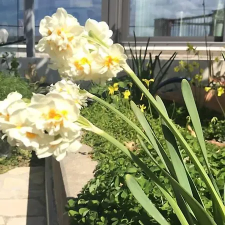 Marmaras Guest house Lysos