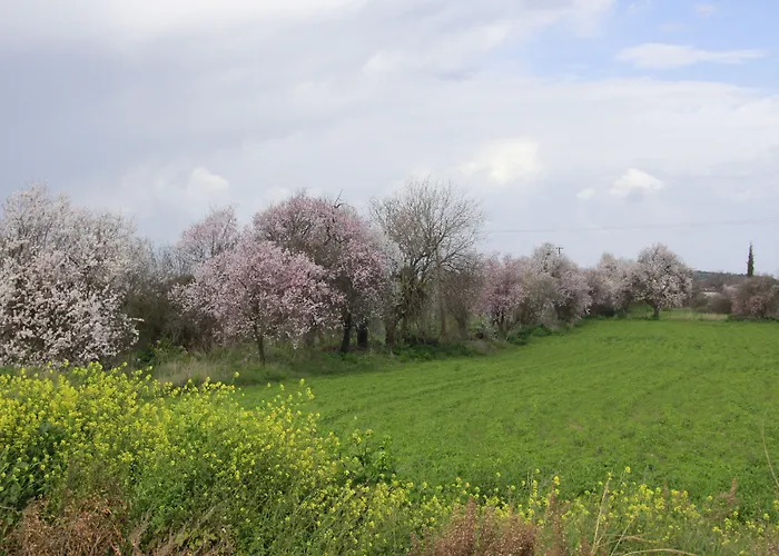 Marmaras ゲストハウス Lyso